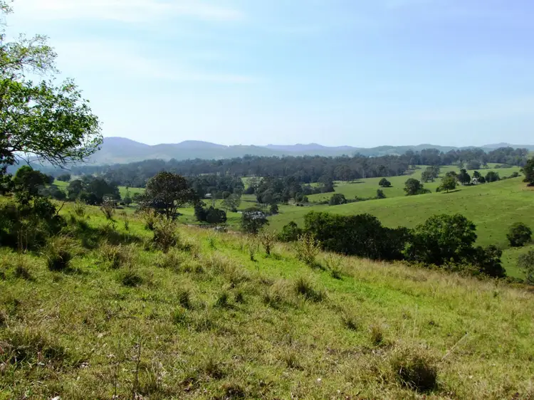 782 Bunyah Road, Bunyah NSW 2429