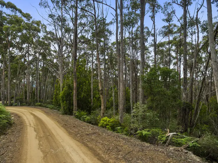 Sixth view of Homely land listing, 245512/1 Kellys Road, Cradoc TAS 7109