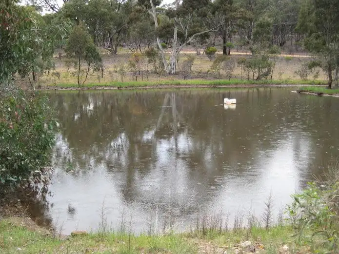 Second view of Homely rural property listing, 136 Mitchell Lane, Wedderburn VIC 3518