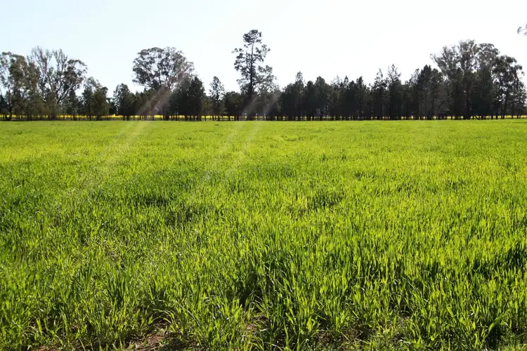 Second view of Homely rural property listing, Address available on request