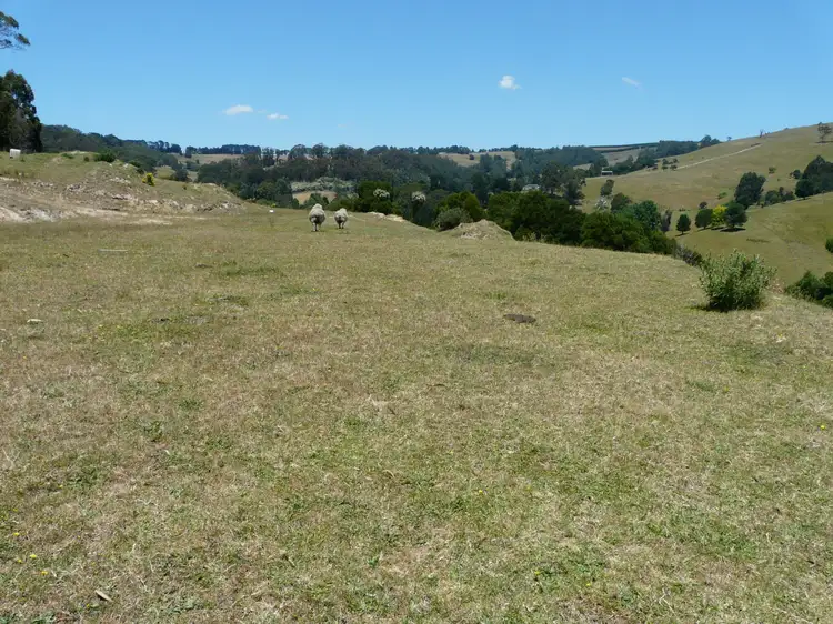Second view of Homely land listing, 203 Mirboo North - Trafalgar Road, Trafalgar VIC 3824