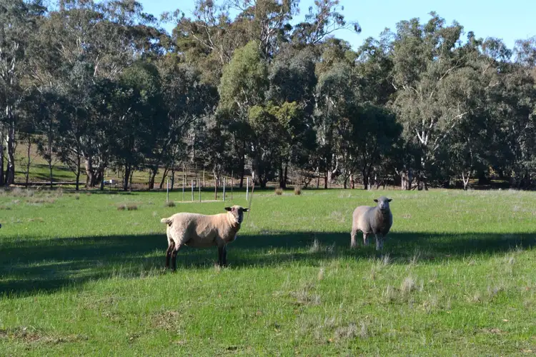 Seventh view of Homely land listing, 450 Highlands Road, Seymour VIC 3660