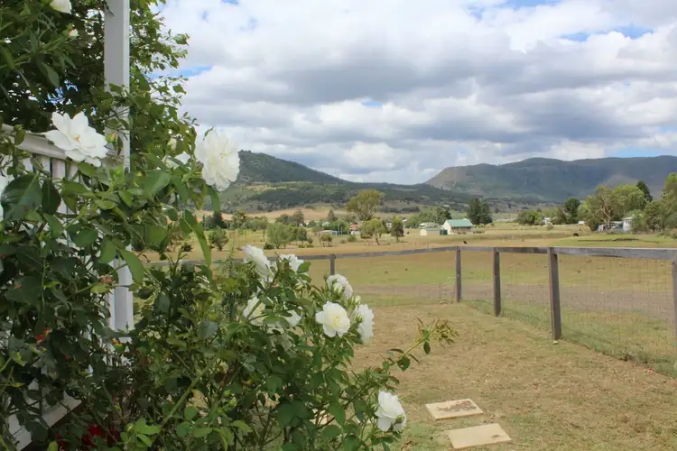 Fourth view of Homely rural property listing, 246 Washbourne Road, Emu Vale QLD 4371