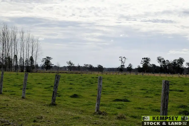Fourth view of Homely rural property listing, 479 Plummers Lane, Rainbow Reach NSW 2440