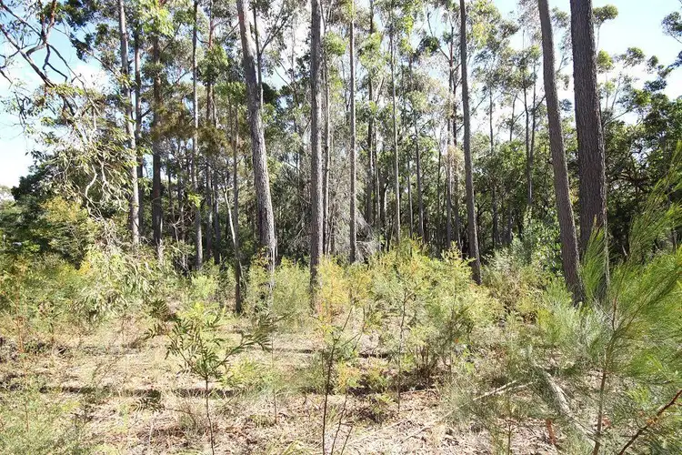 Fifth view of Homely land listing, L14 Acacia Avenue, Wonboyn NSW 2551