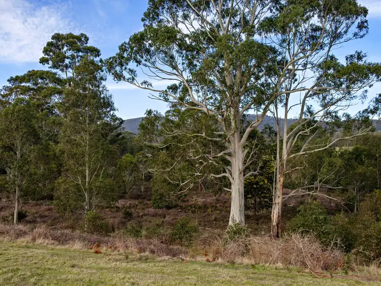Sixth view of Homely land listing, 139853/3 Oates Road, Mountain River TAS 7109