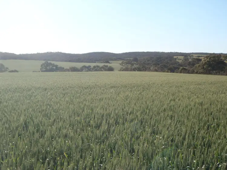 Main view of Homely land listing, ./L2 & 3 Beetaloo Valley Road, Beetaloo SA 5523