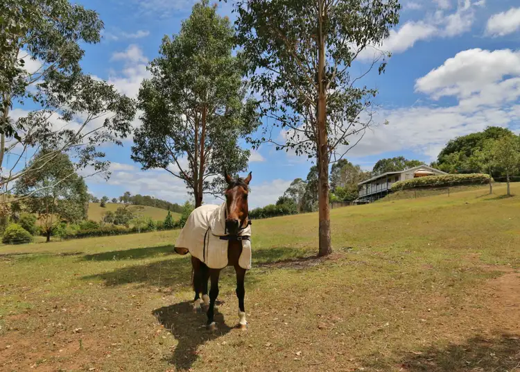Second view of Homely rural property listing, 65 Wilton Road, Greens Creek QLD 4570