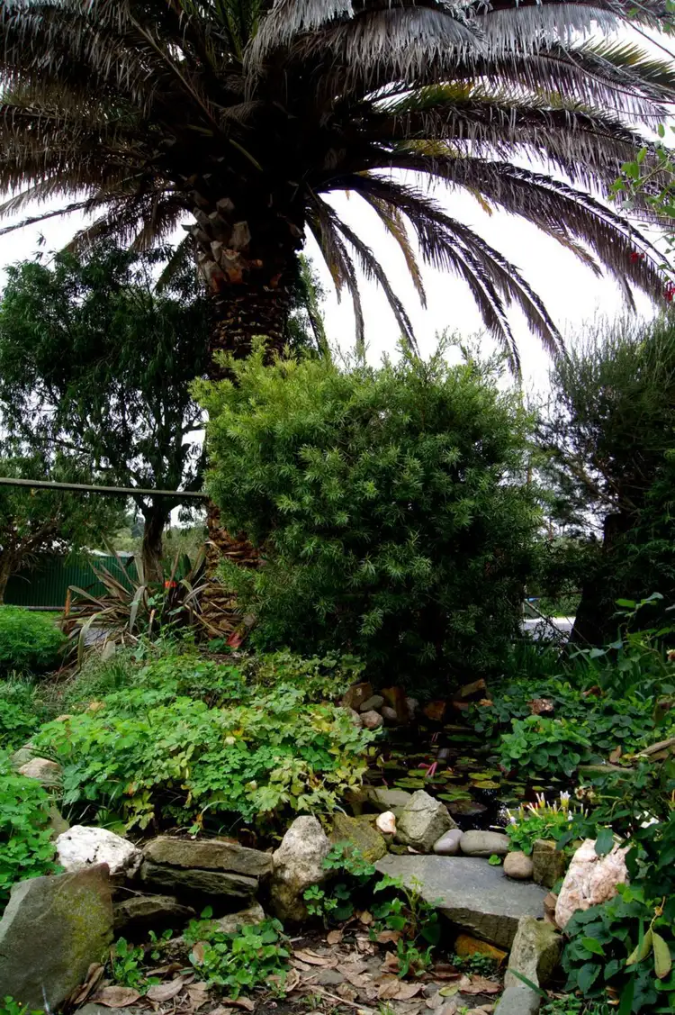 Sixth view of Homely house listing, 6 Hagen Street, Echunga SA 5153
