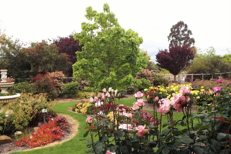 Sixth view of Homely house listing, 10 Robinia Way, Bridgetown WA 6255