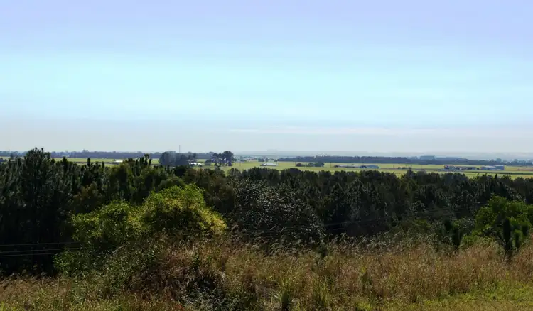 Main view of Homely rural property listing, LOT 1, 458 Pimpama Jacobs Well Road, Pimpama QLD 4209