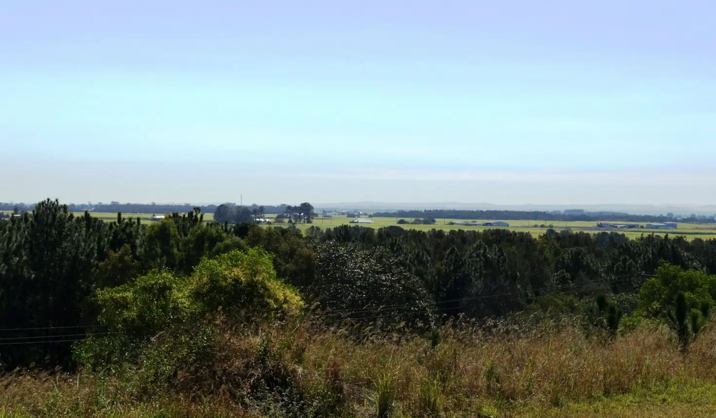 Main view of Homely rural property listing, LOT 1, 458 Pimpama Jacobs Well Road, Pimpama QLD 4209
