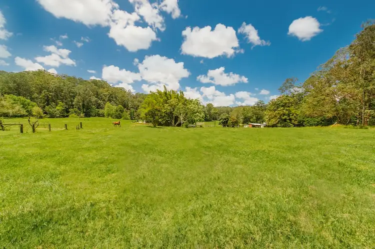Seventh view of Homely rural property listing, 54 Gerrard Road, Eudlo QLD 4554