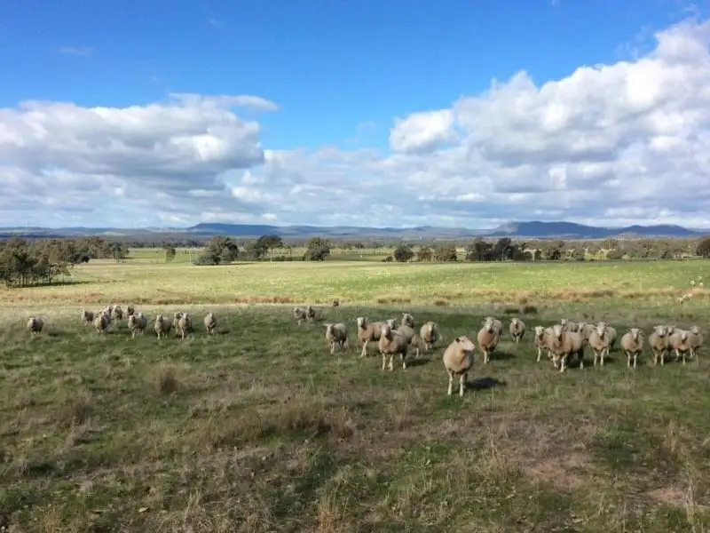 Main view of Homely rural property listing, . Barambogie Road, Chiltern VIC 3683