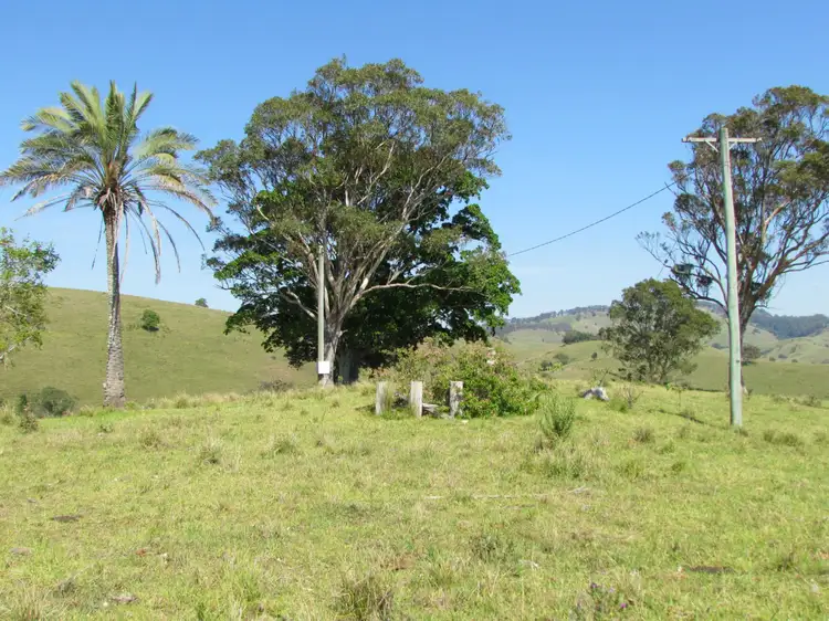 Fourth view of Homely rural property listing, 782 Bunyah Road, Bunyah NSW 2429