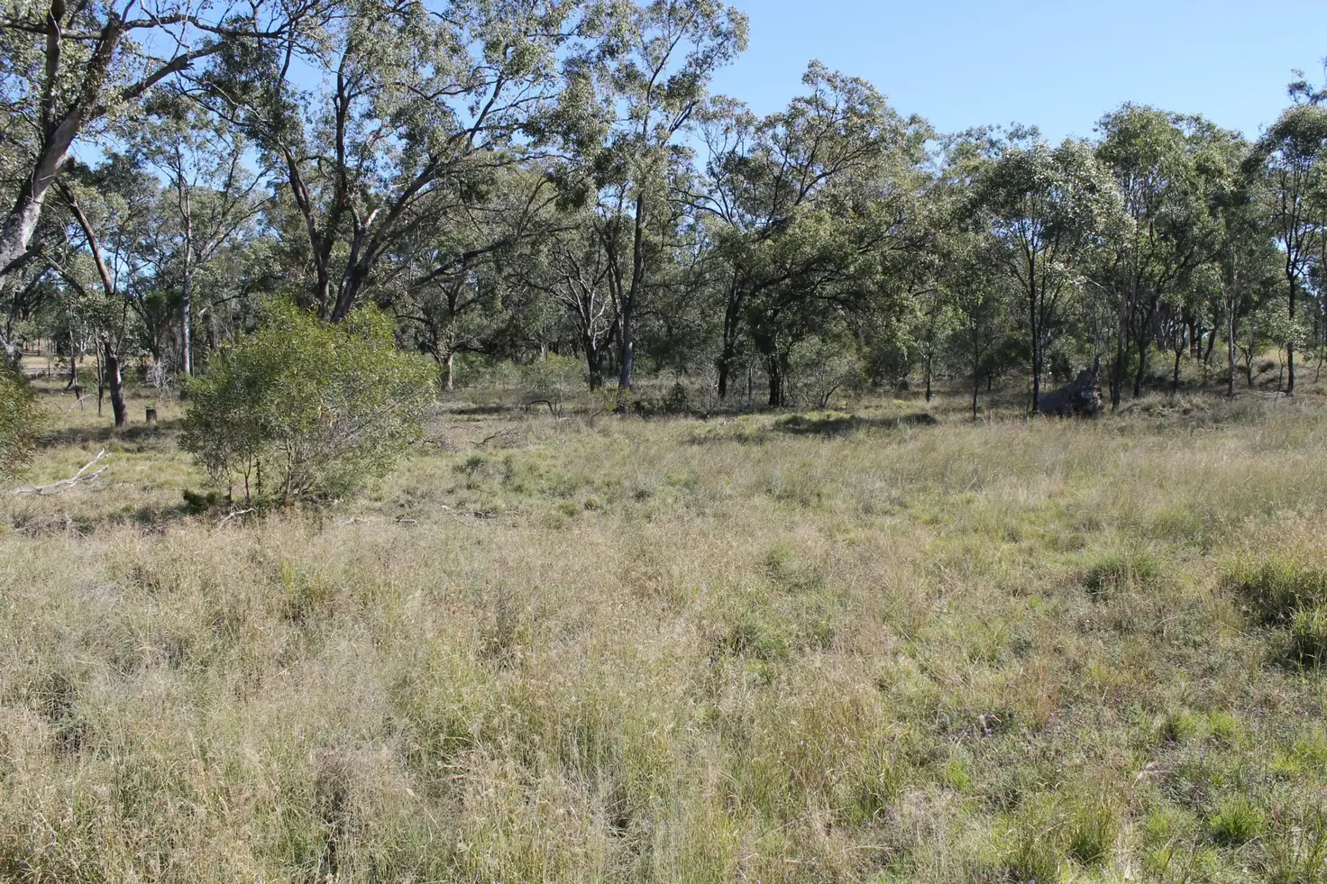 Main view of Homely land listing, L1 & 4 Rabbit Road, Warwick QLD 4370