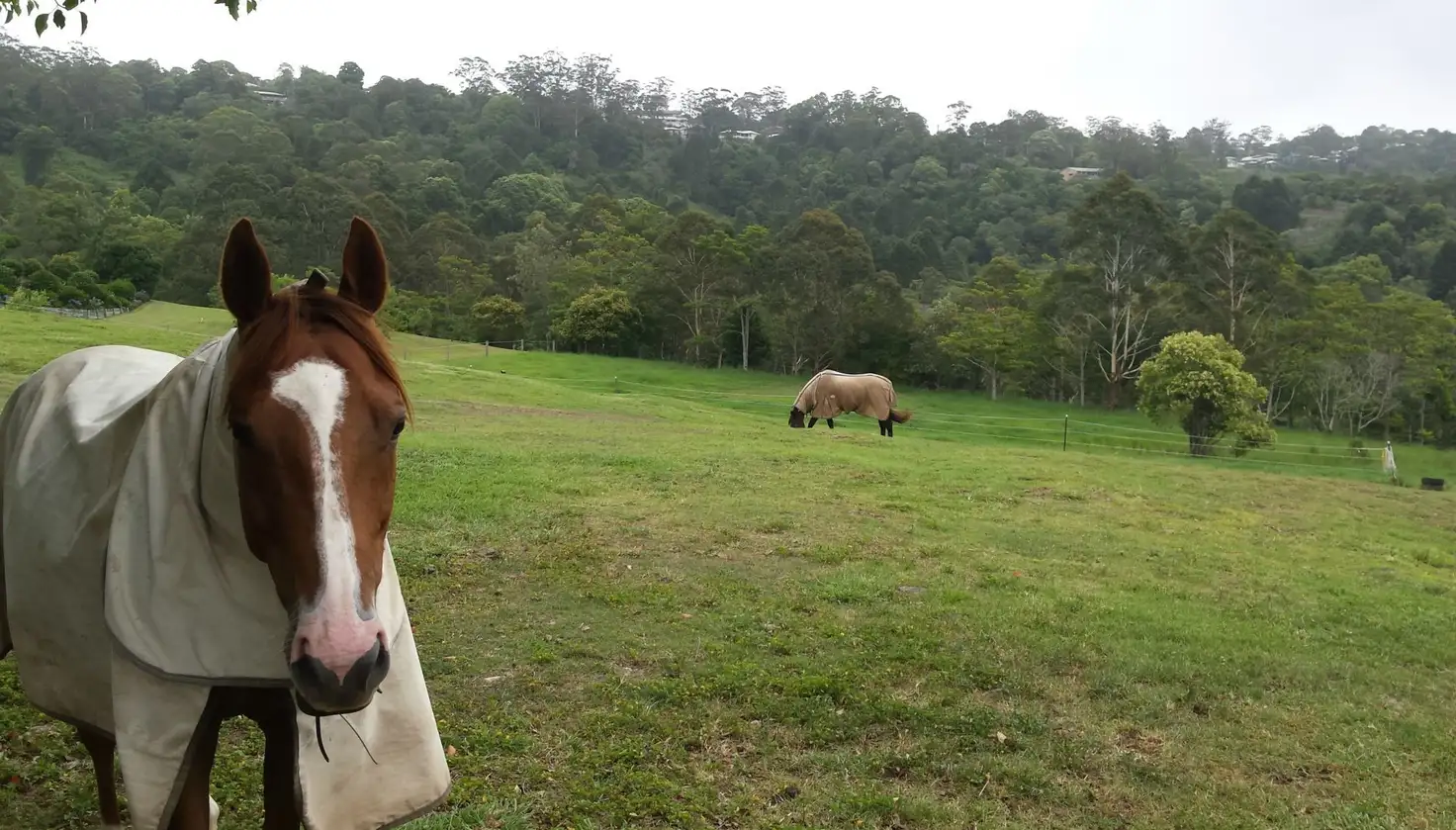 Main view of Homely land listing, 80 Spring Pastures Drive, Mapleton QLD 4560
