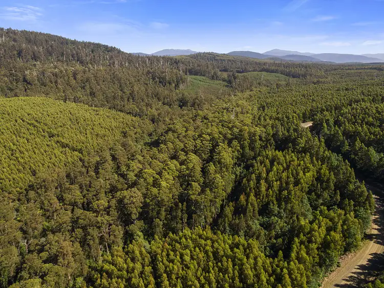 Third view of Homely land listing, 36587/1 Oigles Road, Geeveston TAS 7116