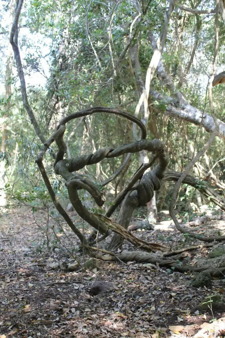 Fifth view of Homely land listing, Address available on request