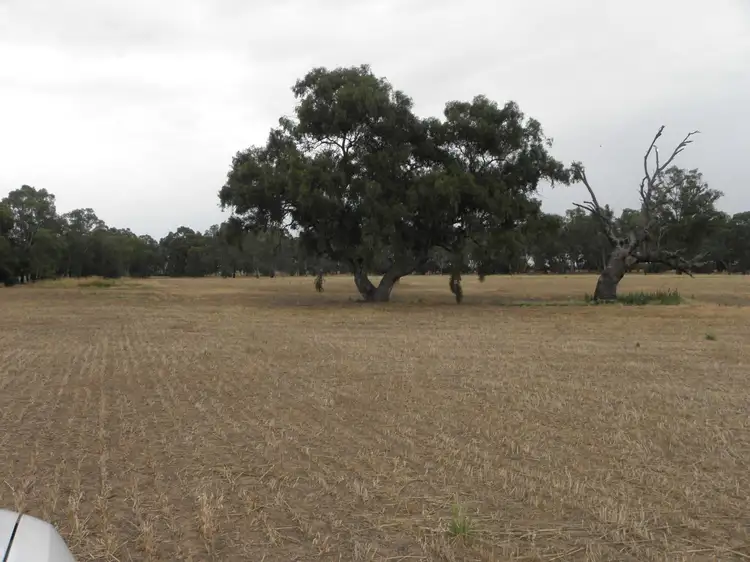 Main view of Homely rural property listing, 128 Katamatite-Nathalia Road, Katamatite VIC 3649