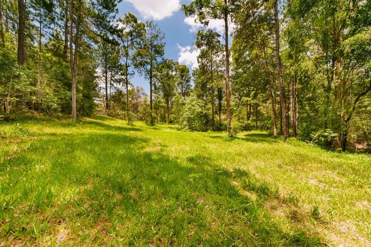 Second view of Homely rural property listing, 20 Gerrard Road, Eudlo QLD 4554