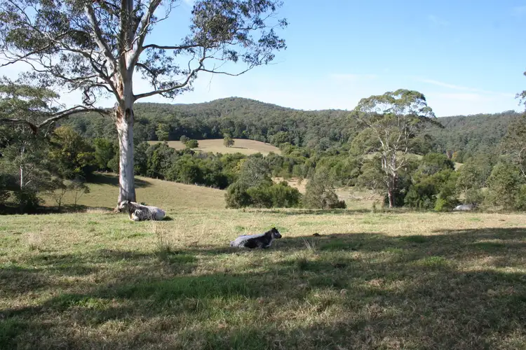 Sixth view of Homely rural property listing, L3 Neilson Lane, Lorne NSW 2439