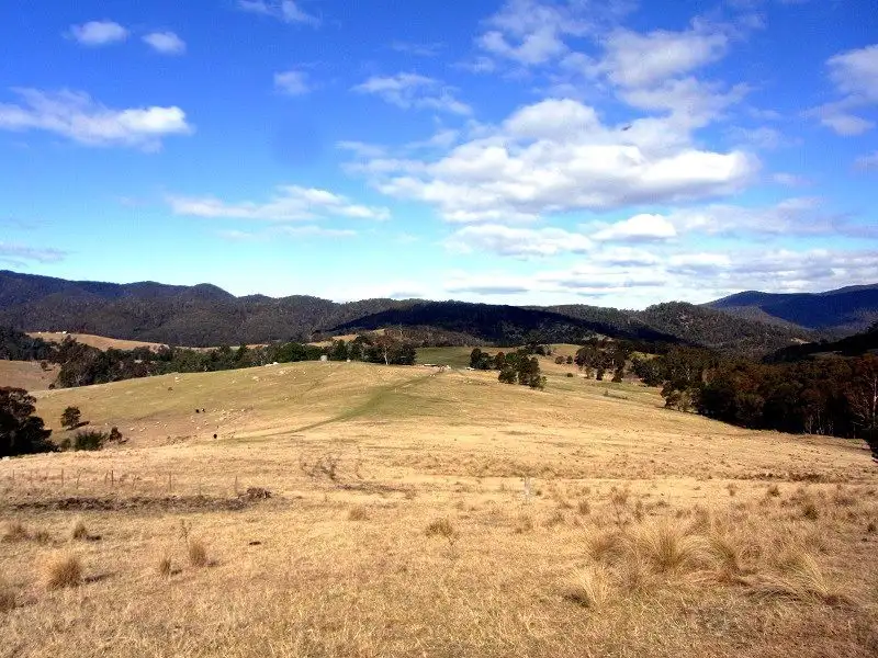 Main view of Homely rural property listing, 398 New Buildings Road, Wyndham NSW 2550