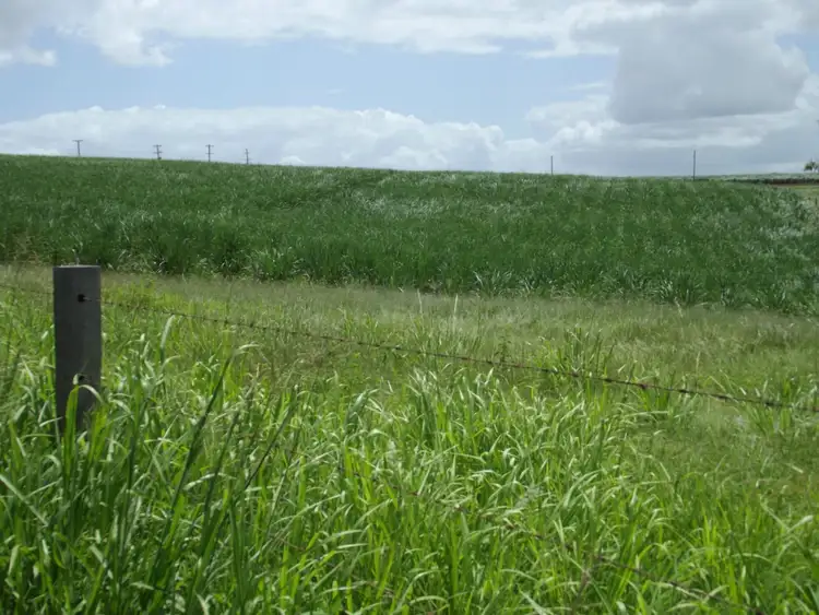 Second view of Homely land listing, L2, 7 Cooks Road, South Isis QLD 4660