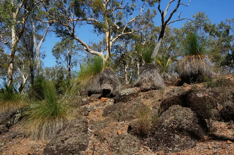Fifth view of Homely land listing, 149 Ridley Circle, Toodyay WA 6566