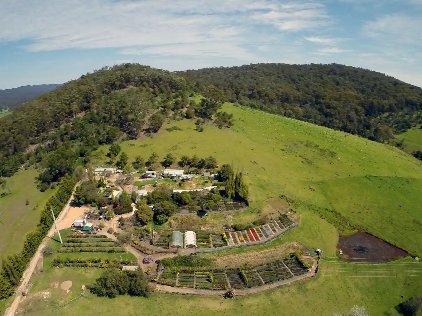 Main view of Homely rural property listing, 3860 Princes Highway, Pambula NSW 2549