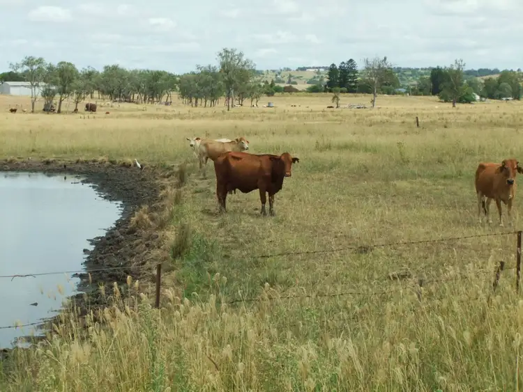 Sixth view of Homely rural property listing, LOT 33/Lot 33 Ipswich Boonah Road, Boonah QLD 4310