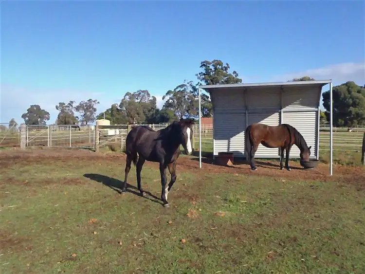 Seventh view of Homely rural property listing, 341 Morley Road St, Lower Chittering WA 6084