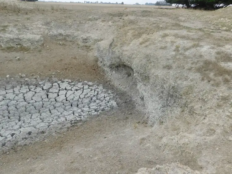 Fourth view of Homely rural property listing, L20 Balnaves Lane, Penola SA 5277