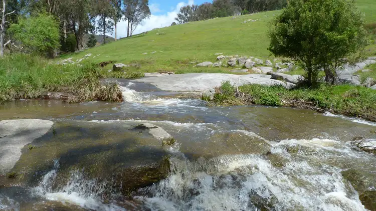 Seventh view of Homely rural property listing, 389 Davies Road, Warrenbayne VIC 3670