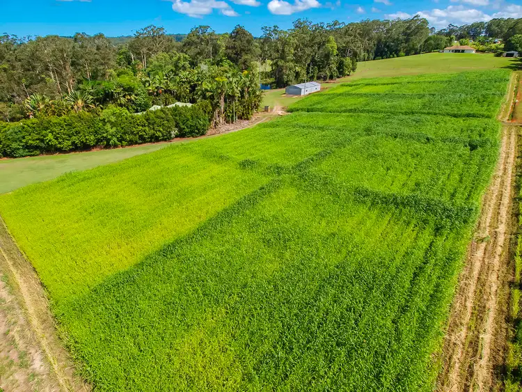Main view of Homely rural property listing, 410 CHEVALLUM Road, Chevallum QLD 4555