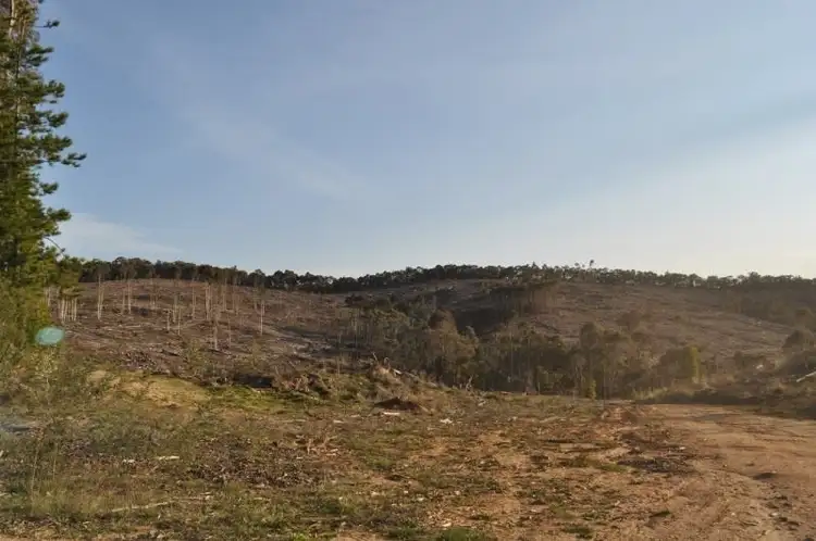 Main view of Homely rural property listing, . Murray Valley Highway, Koetong VIC 3704