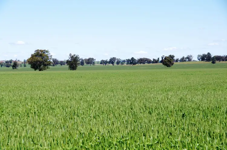 Main view of Homely rural property listing, 1327 Lockhart Road, Walbundrie NSW 2642