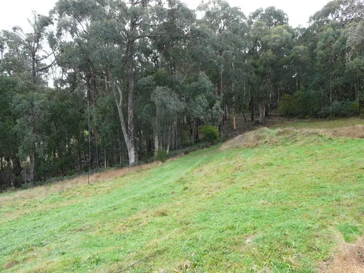 Sixth view of Homely rural property listing, 495 Russells Creek Road, Hill End VIC 3825