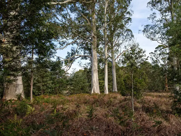 Seventh view of Homely land listing, 139853/3 Oates Road, Mountain River TAS 7109