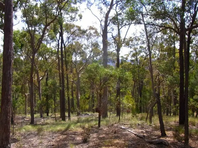 Main view of Homely rural property listing, L417 Lyrebird Lane, Millingandi NSW 2549