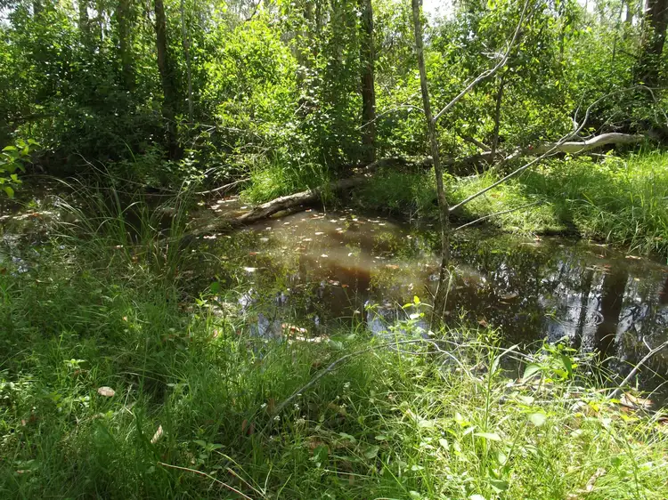 Fifth view of Homely land listing, L23 Corfield Drive, Booyal QLD 4671