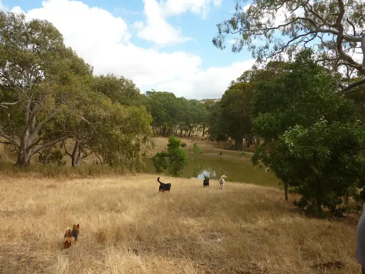 Main view of Homely rural property listing, 130 James Trac St, Yankalilla SA 5203