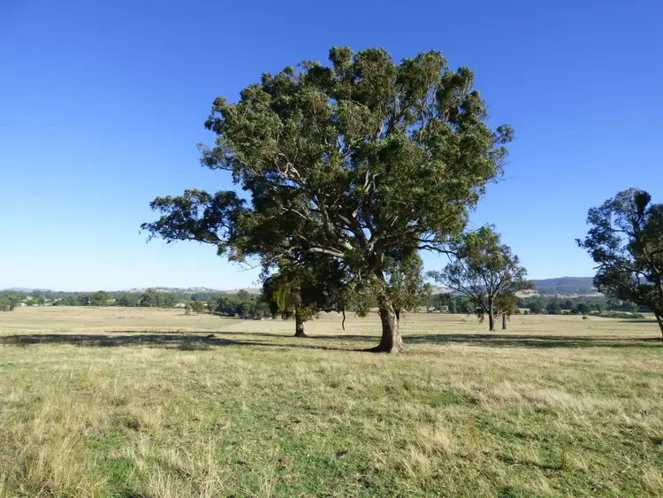 Seventh view of Homely rural property listing, 4148 Snow Road, Myrtleford VIC 3737