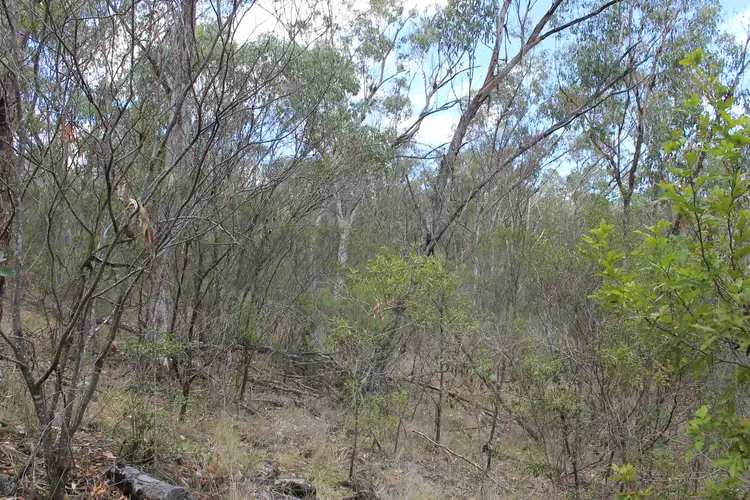 Fourth view of Homely rural property listing, Lot 51 Charleys Gully Road, Freestone QLD 4370