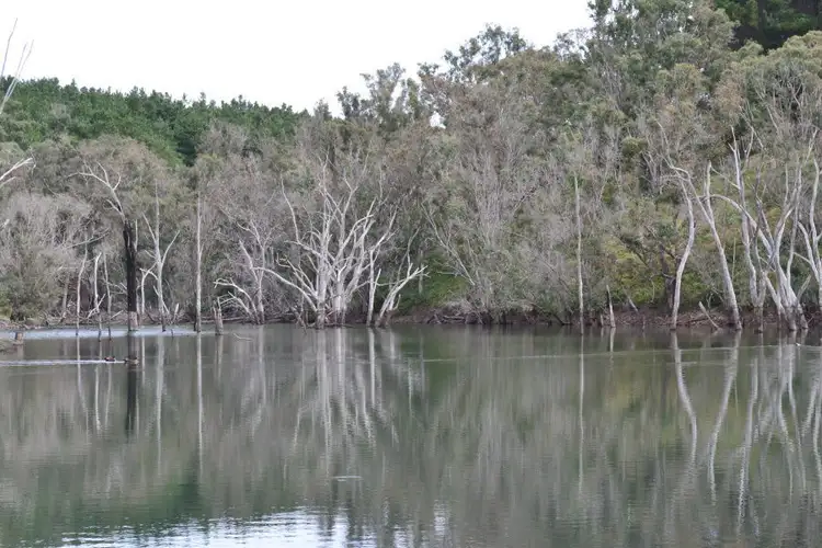 Second view of Homely rural property listing, Lot 76 Hawterville Road, Mullalyup WA 6252