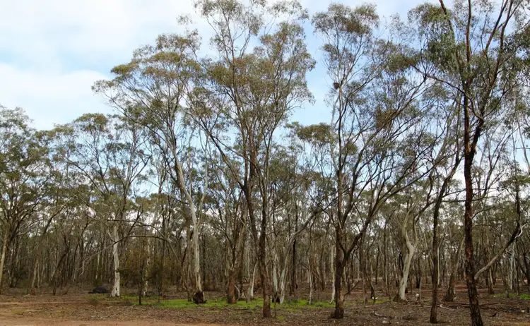 Seventh view of Homely rural property listing, Address available on request