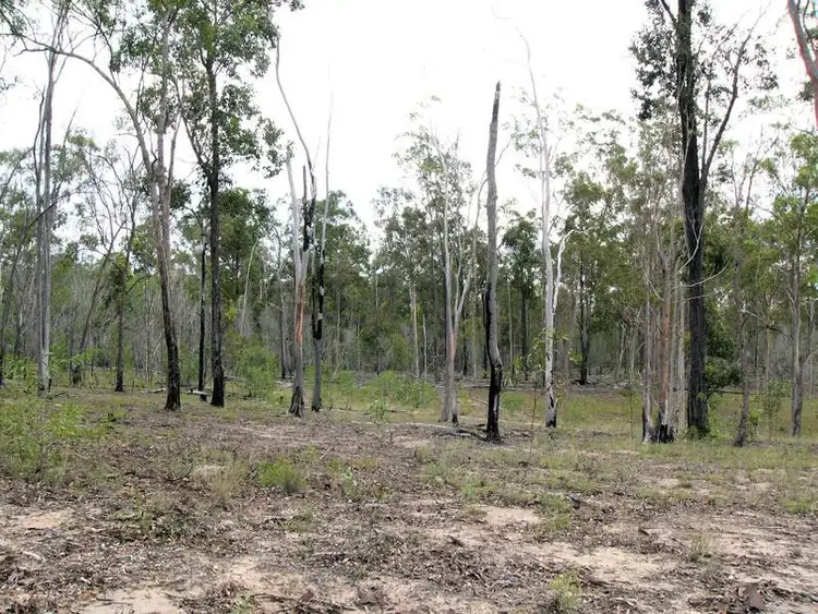 Sixth view of Homely rural property listing, 286 Paterson Road East, Paterson QLD 4570