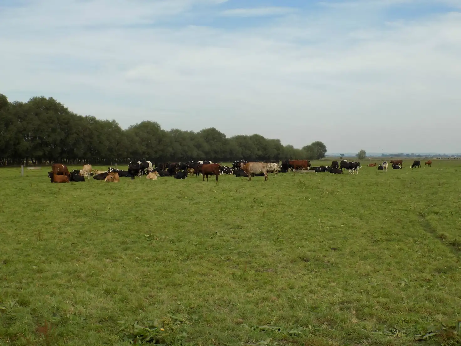 Main view of Homely rural property listing, 280 Airly Estate Road, Airly VIC 3851