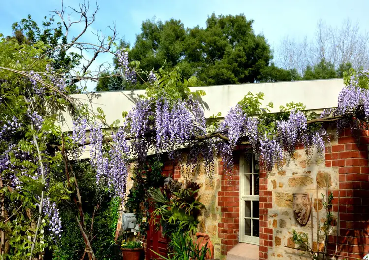 Seventh view of Homely rural property listing, 90 Tregarthen Road, Summertown SA 5141