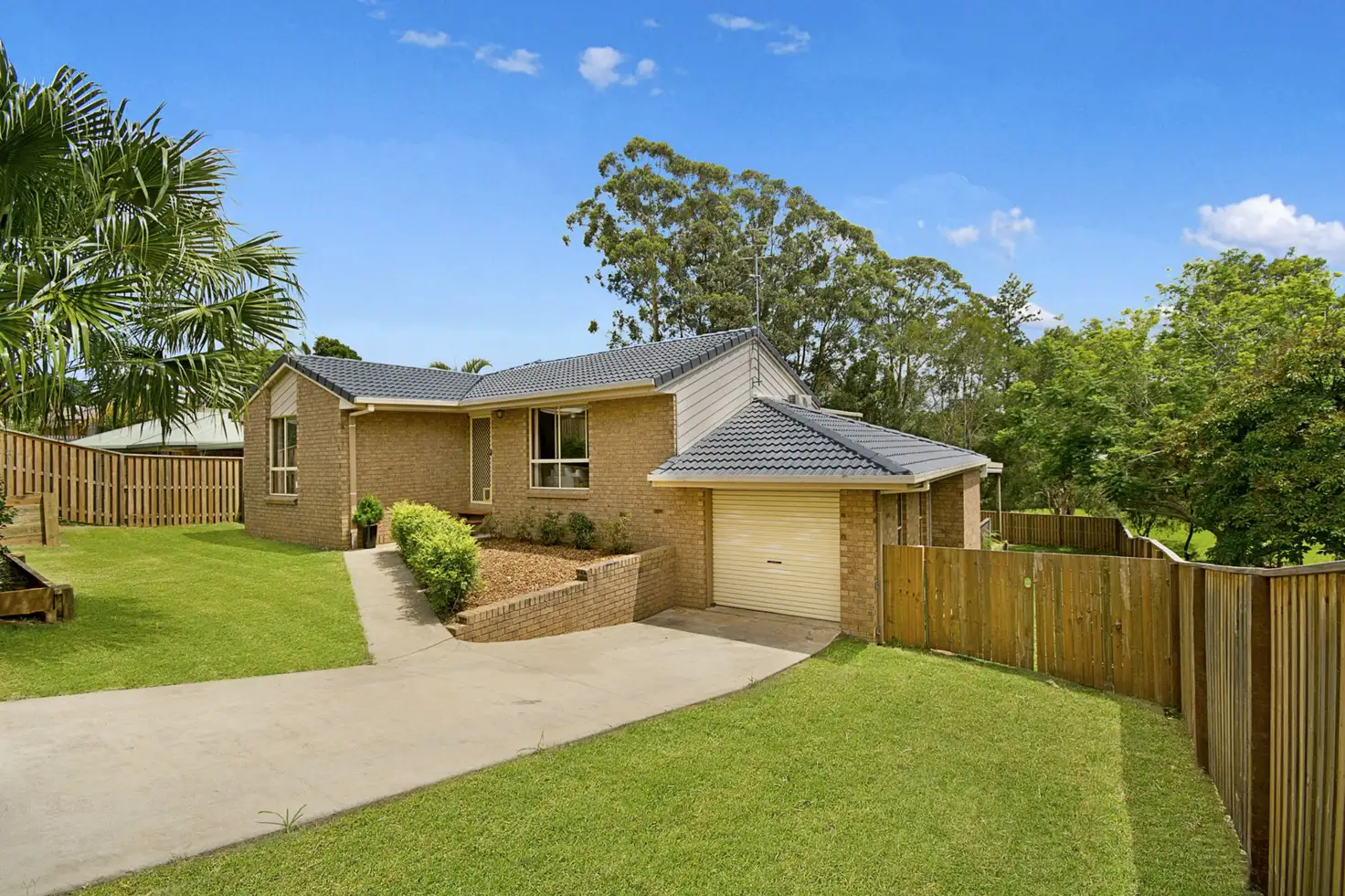 Main view of Homely house listing, 3 Palm Grove Court, Palmwoods QLD 4555